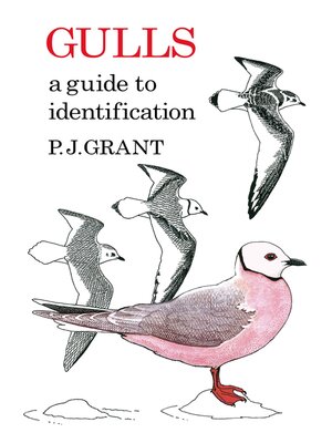 cover image of Gulls